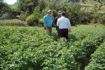 Projekti i farës së patateve në Buzahishtë